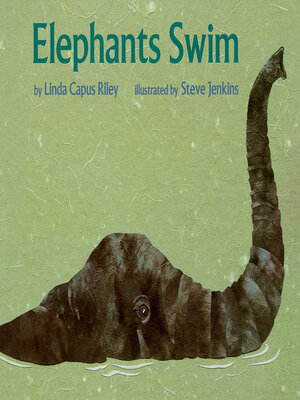 cover image of Elephants Swim